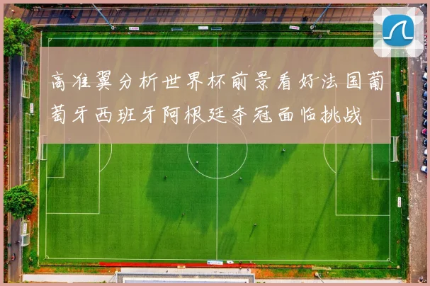 高准翼分析世界杯前景看好法国葡萄牙西班牙阿根廷夺冠面临挑战